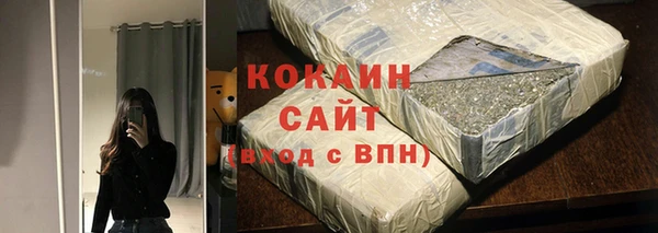 ПСИЛОЦИБИНОВЫЕ ГРИБЫ Арсеньев