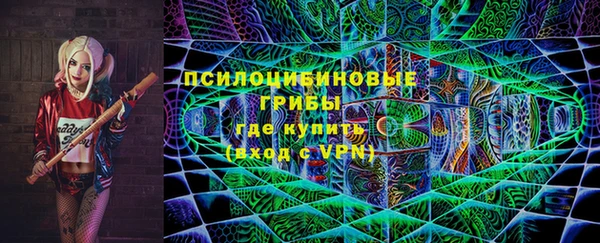 ПСИЛОЦИБИНОВЫЕ ГРИБЫ Арсеньев