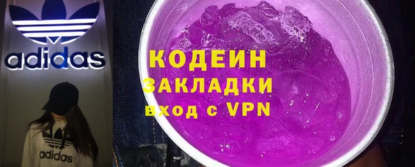 ПСИЛОЦИБИНОВЫЕ ГРИБЫ Арсеньев